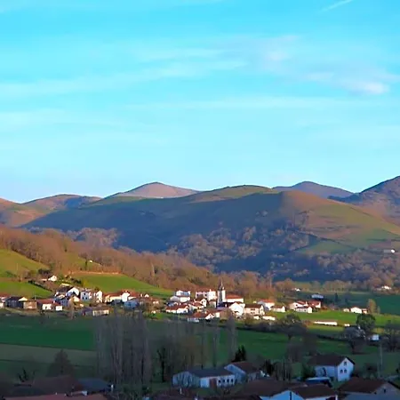Borda